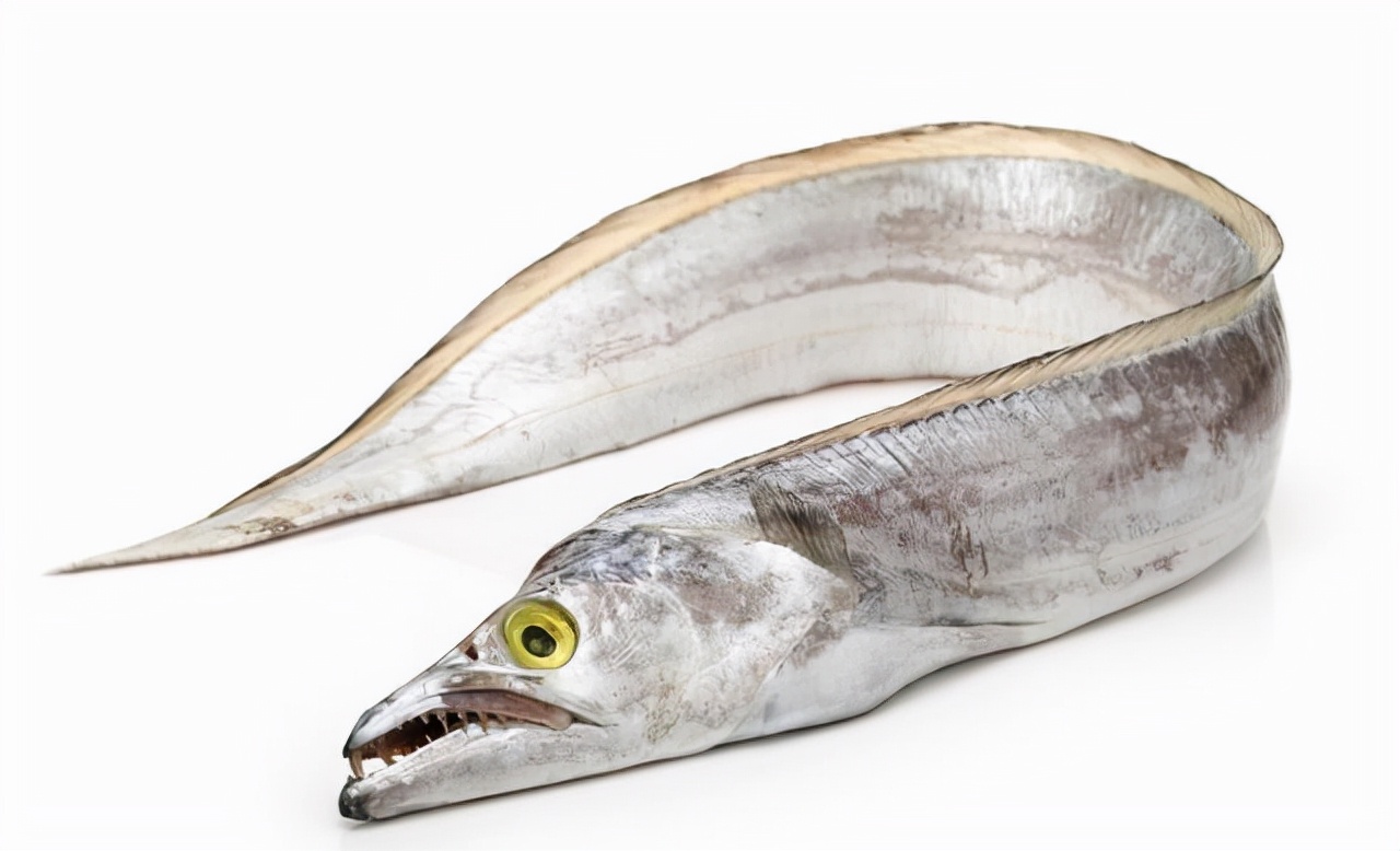 30种最常吃的家常鱼种类图片,最常见的50种食用鱼吃法和价格