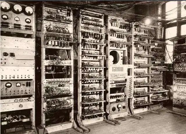 情人节特辑爱情与玫瑰花,情人节特辑