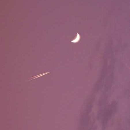 閲嶅悕鐜囧緢灏忕殑缃戝悕,涓嶆槗閲嶅悕闂鸿湝缃戝悕