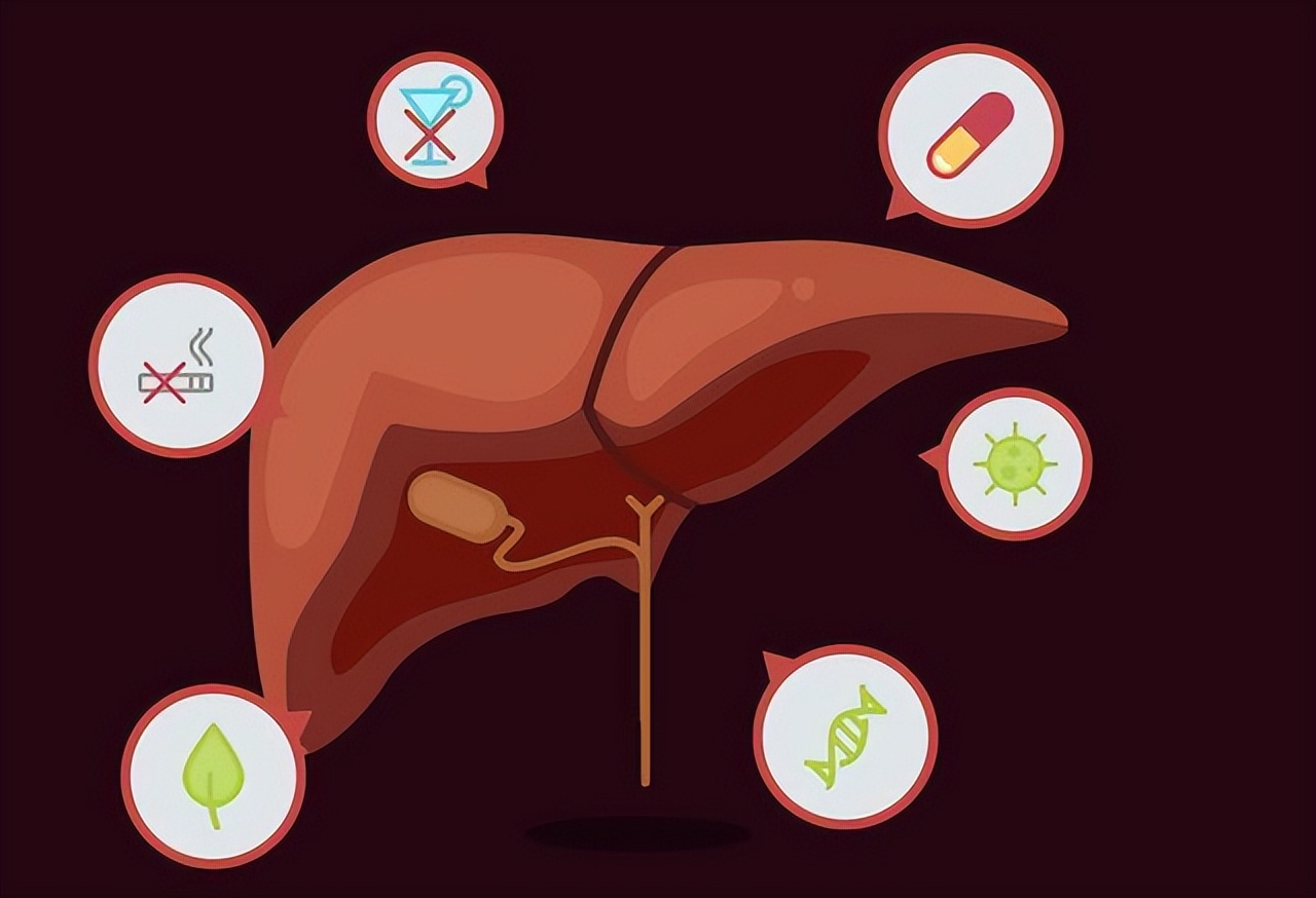 身体中转氨酶高的表现,体检转氨酶升高什么意思