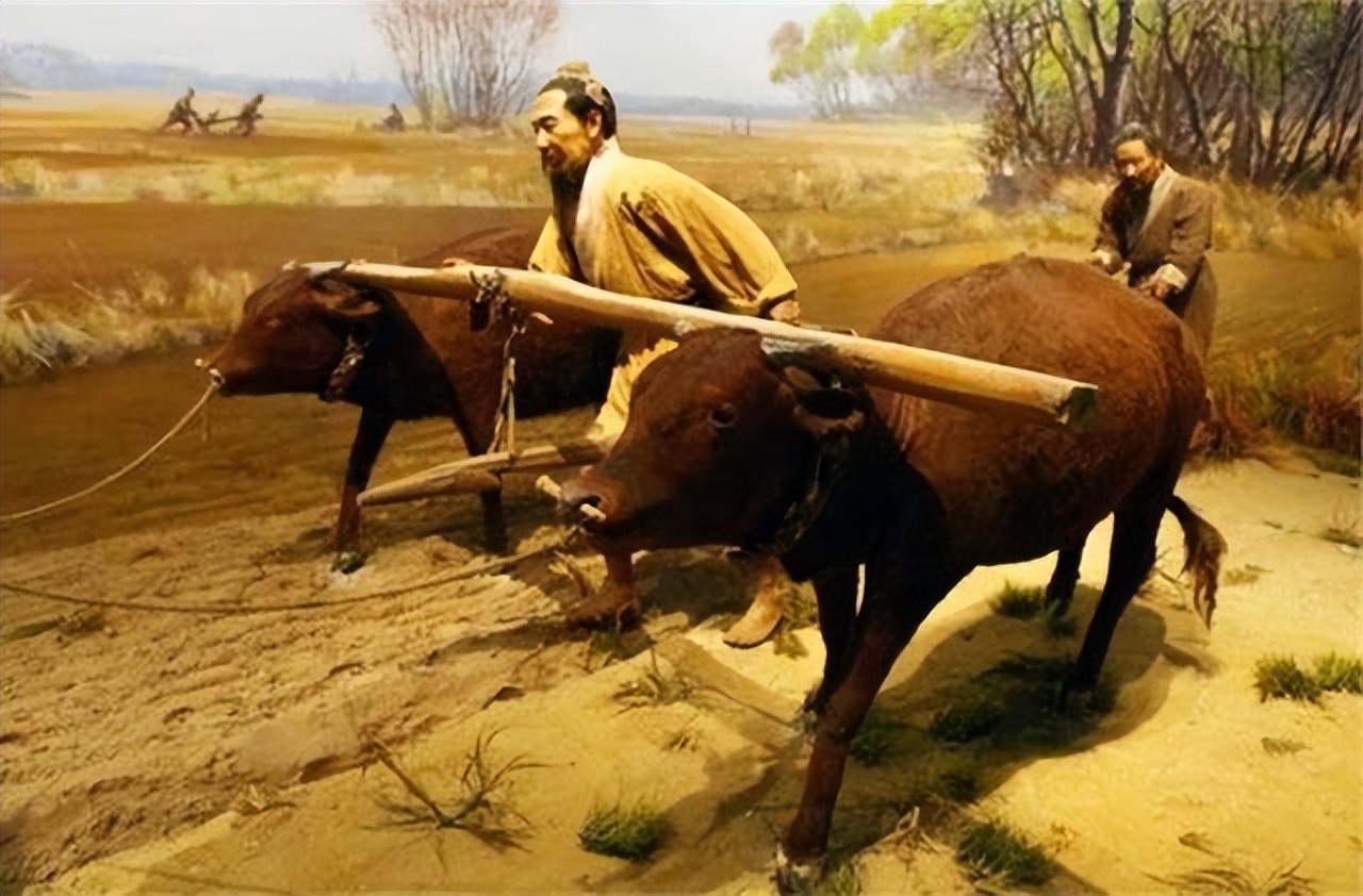 回族不吃猪肉，满族不吃狗肉，那汉族不吃啥肉？很多人却淡忘了