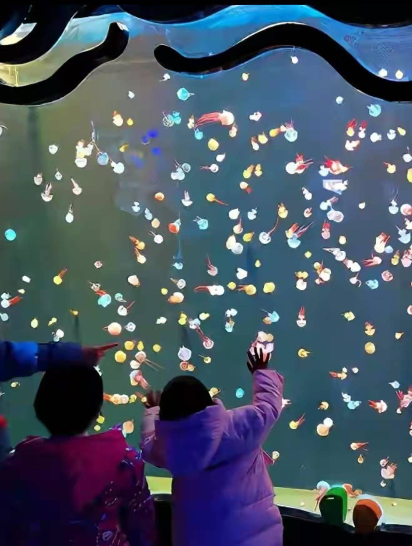 石家庄极地海洋世界动物园,石家庄动物园极地海洋馆收费