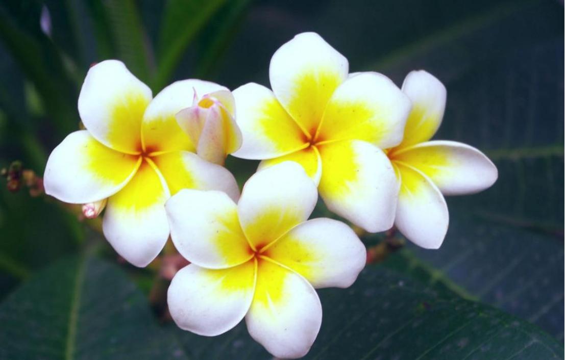 肇庆七星岩说说,说说广州