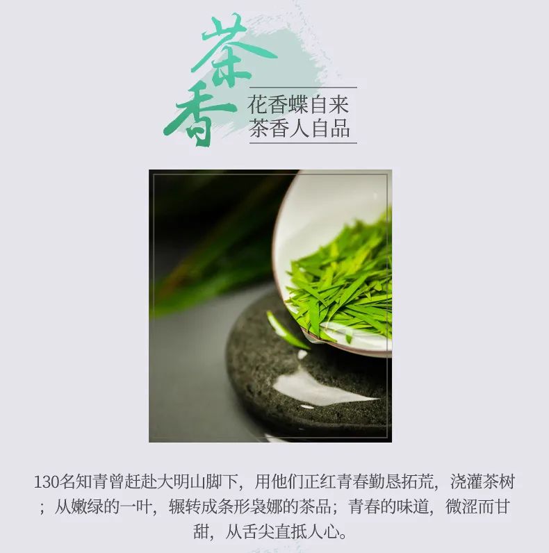 大明山有机绿茶,弱水三千只取一杯茶