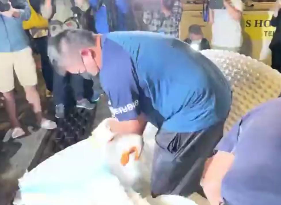 笑喷！汪小菲大S具俊晔都睡过天价床垫惨被烧台媒还狗血直播