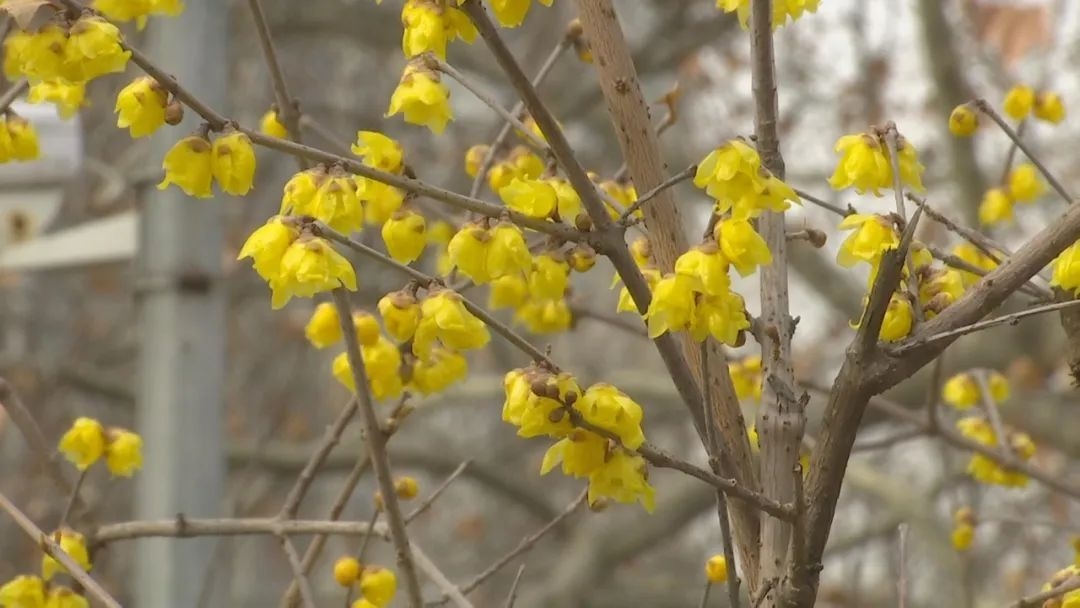 石家庄下雨哪里风景最美,石家庄冬季风景好的地方