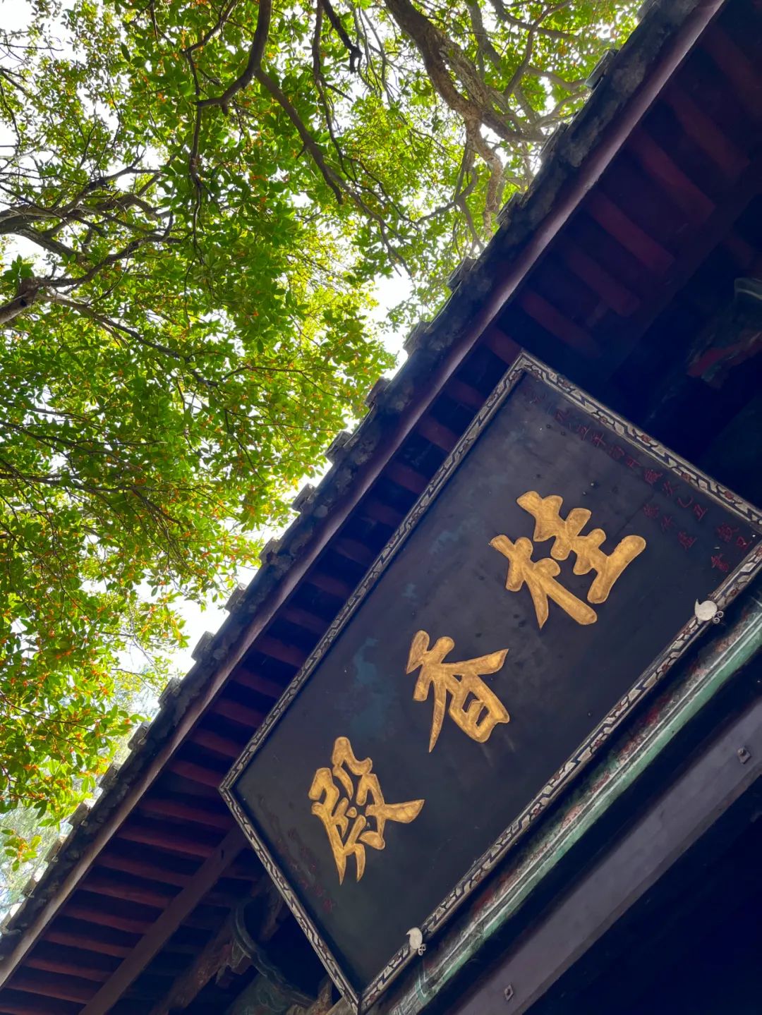 花好月圆人长久丹桂飘香迎春节,花好月圆迎中秋丹桂飘香