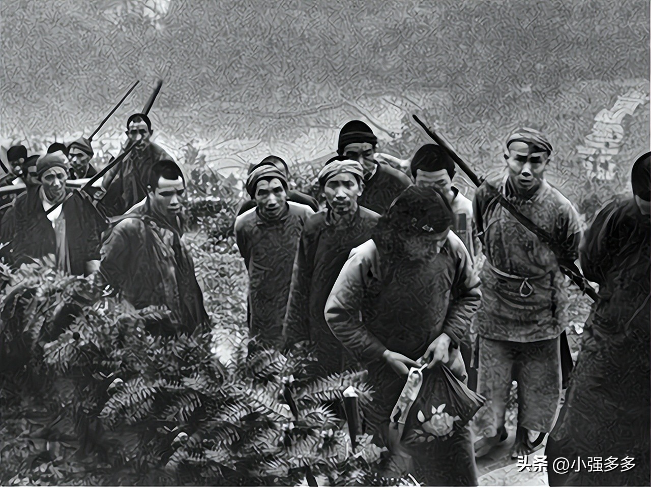 1950剿匪纪实全集,剿匪纪实全集播放