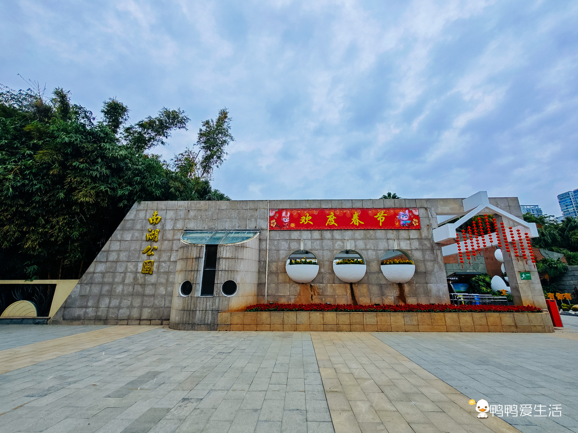 厦门哪里可以看到落羽杉,厦门五缘湾落羽杉