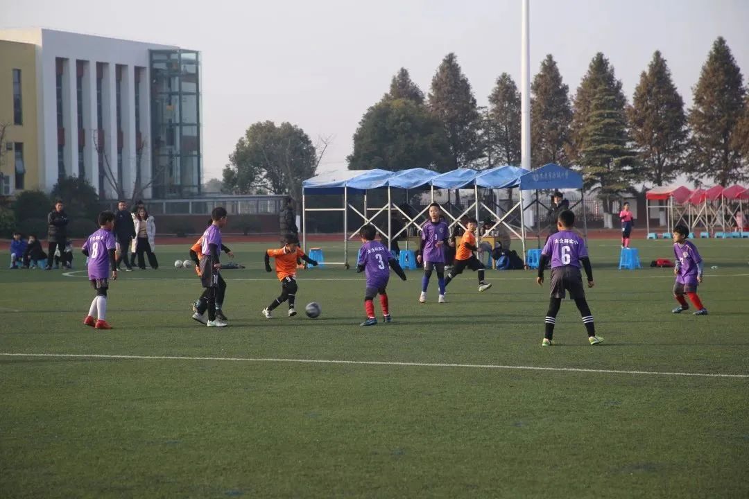 带你们看世界杯,我看的世界杯