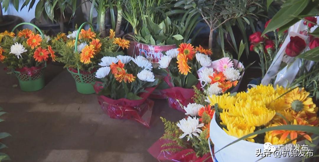 清明节文明祭祀我们在行动,清明节绿色文明祭祀弘扬时代新风