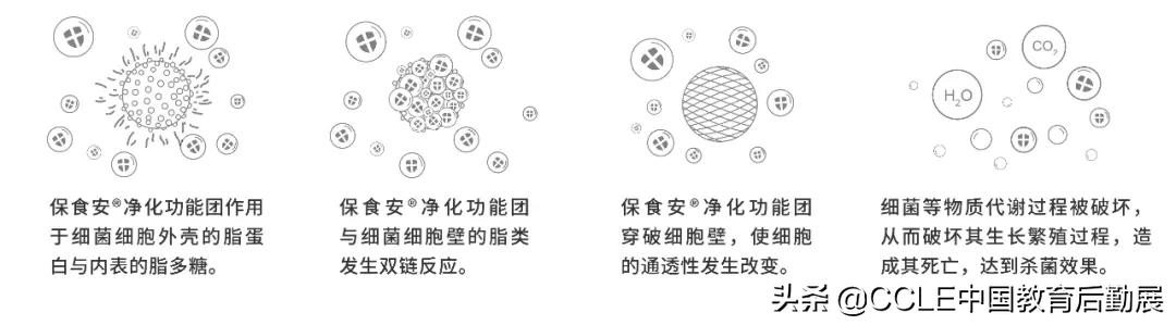 全力守护校园食品安全防疫,用心用情护航校园食品安全