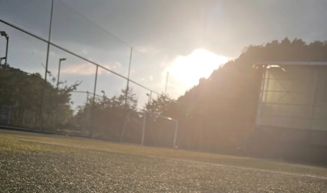 Fun-π丨雨中唱响生日歌足球狗的浪漫有几多？