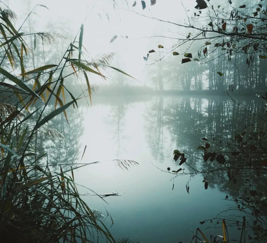 悬疑小说一口气看完最新,被亿万网友催更的小说