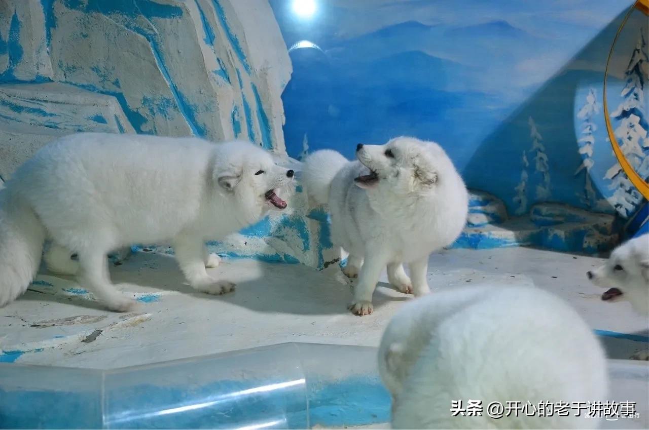 鍝堝皵婊ㄦ瀬鍦伴娓哥帺鏀荤暐,鍝堝皵婊ㄦ瀬鍦伴娴锋磱涔嬪績