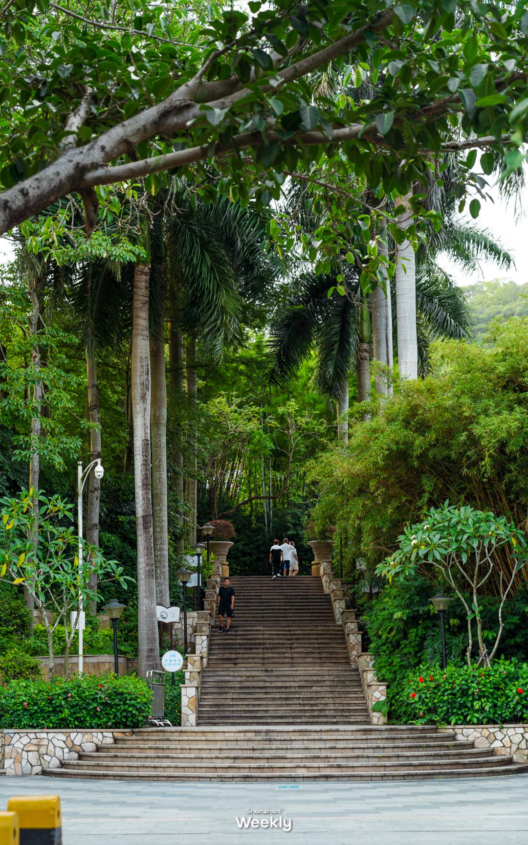 新安宝安,宝安新安老城区