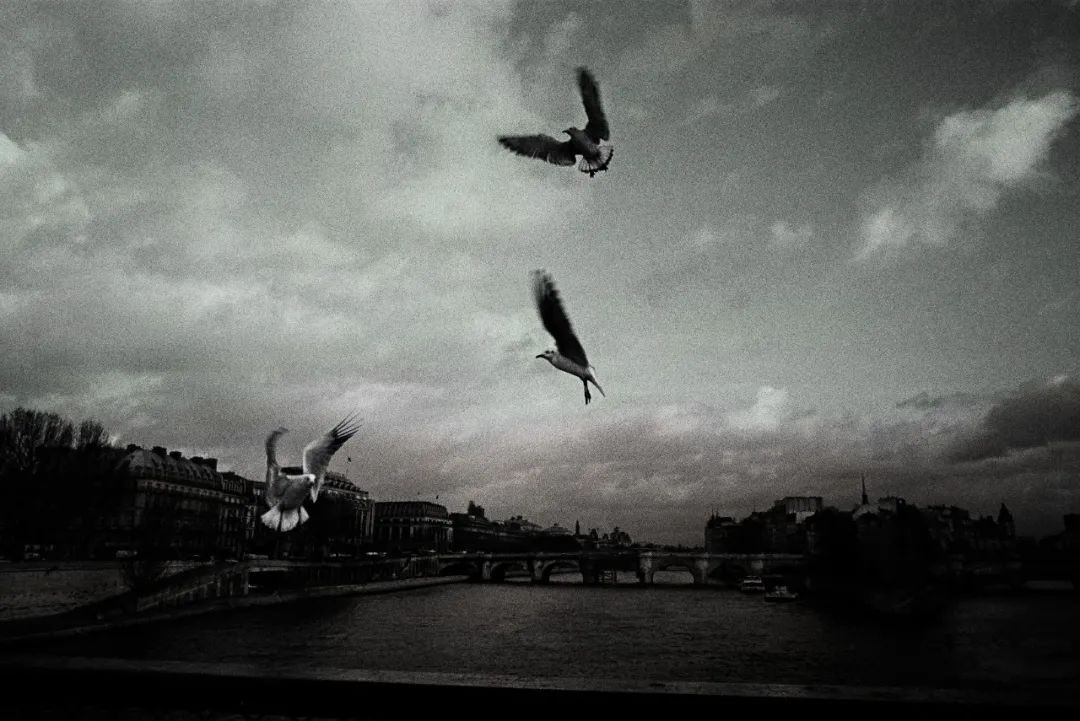 高磊绽放青春,高磊临朐