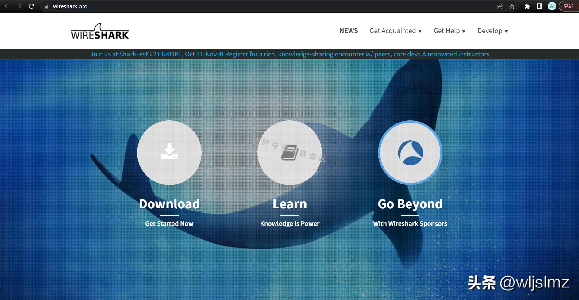 抓包工具哪个最火,抓包工具常用的是哪几个