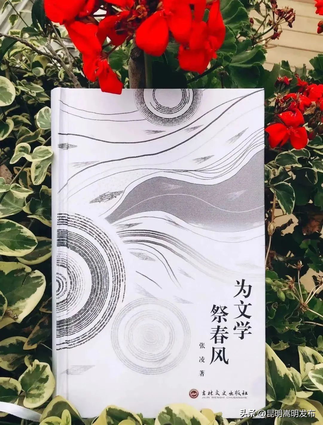 世界读书日昆明举行,世界读书日文艺活动