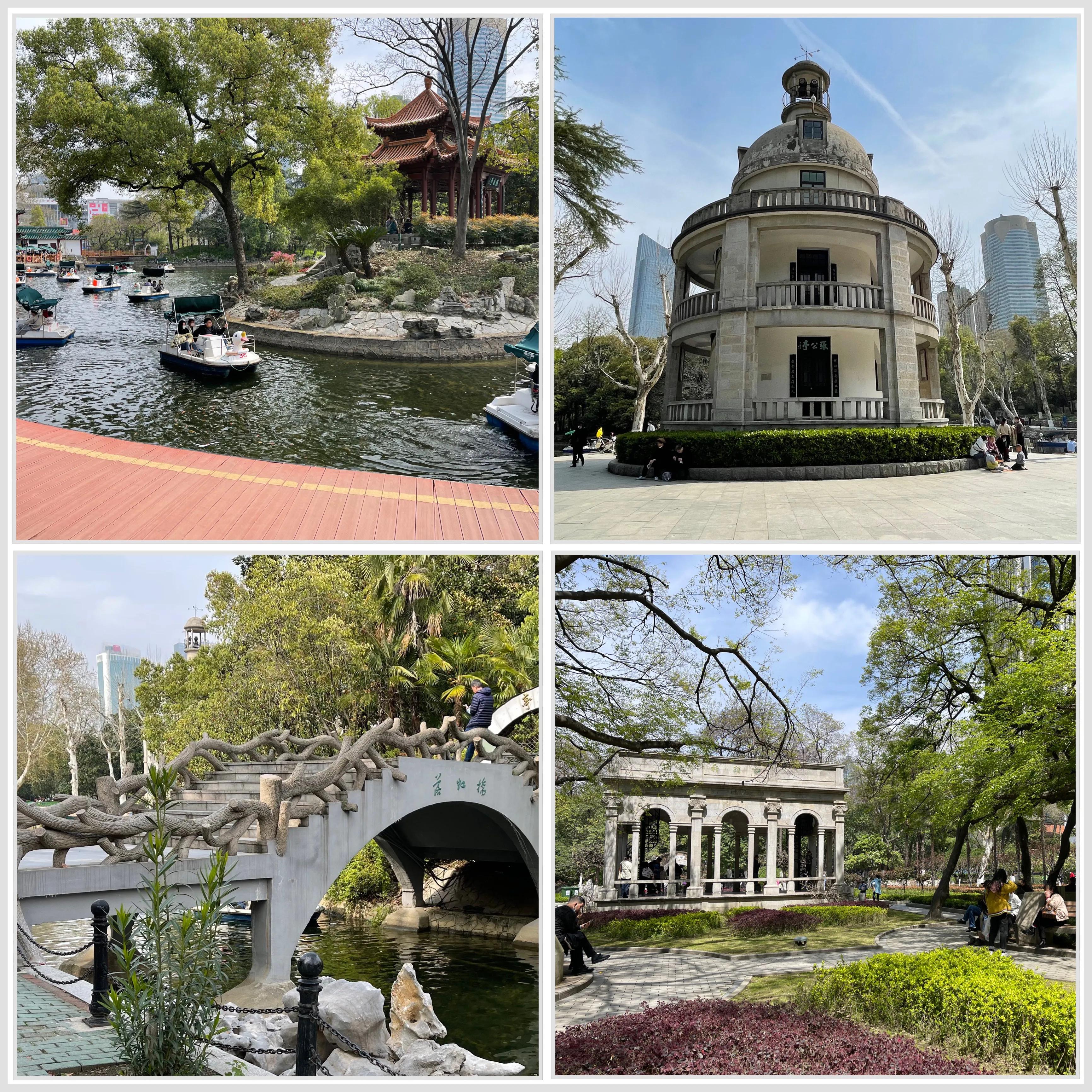 重游佛山中山公园儿时的记忆,重游佛山中山公园拍照片