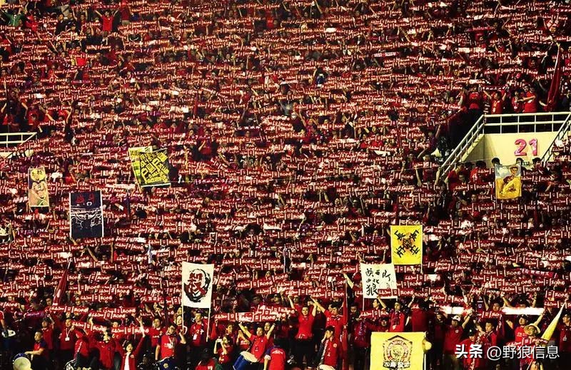 陕西球迷素质,陕西球迷有多好