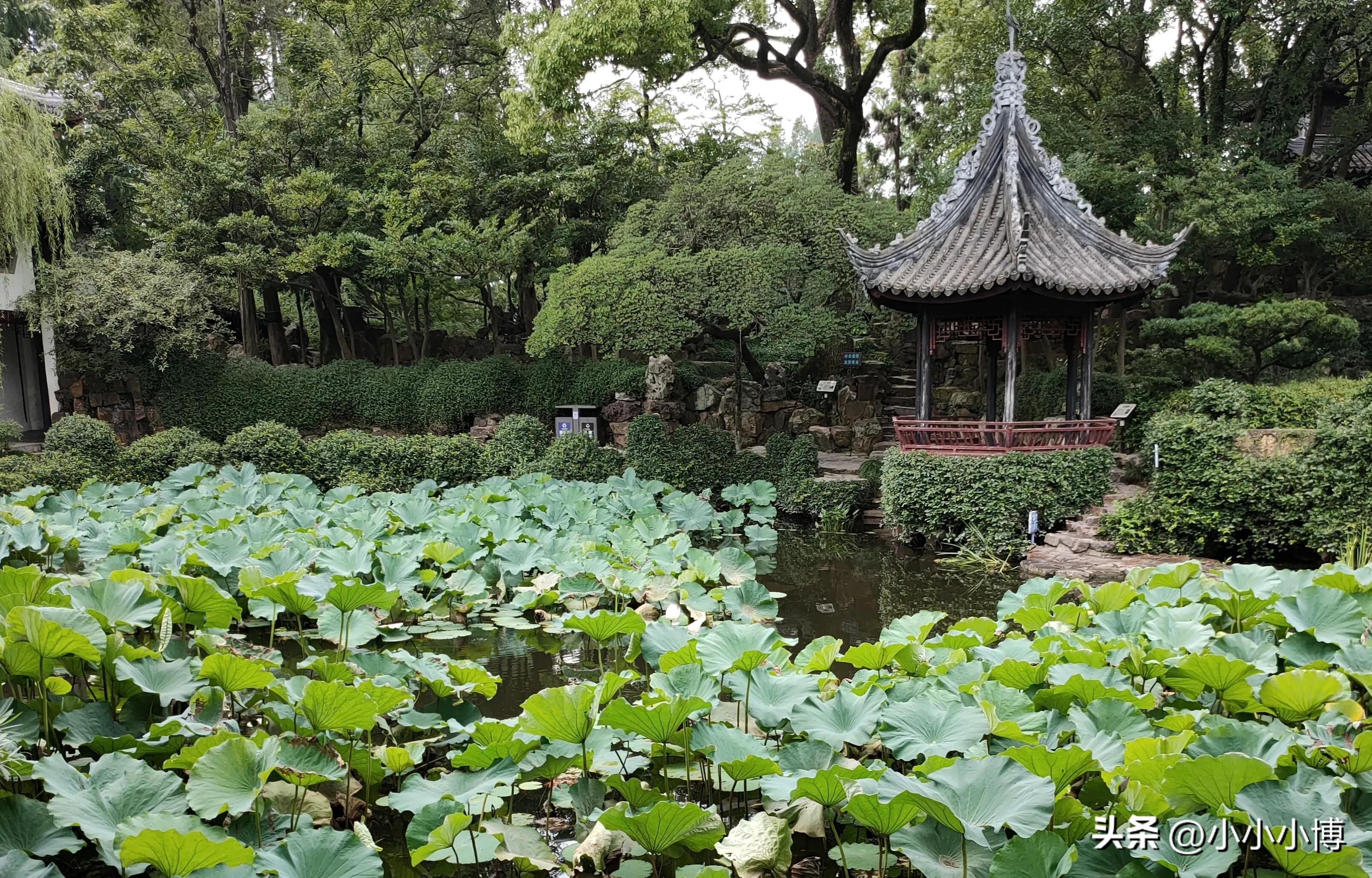 沪上名园豫园介绍,沪上名园