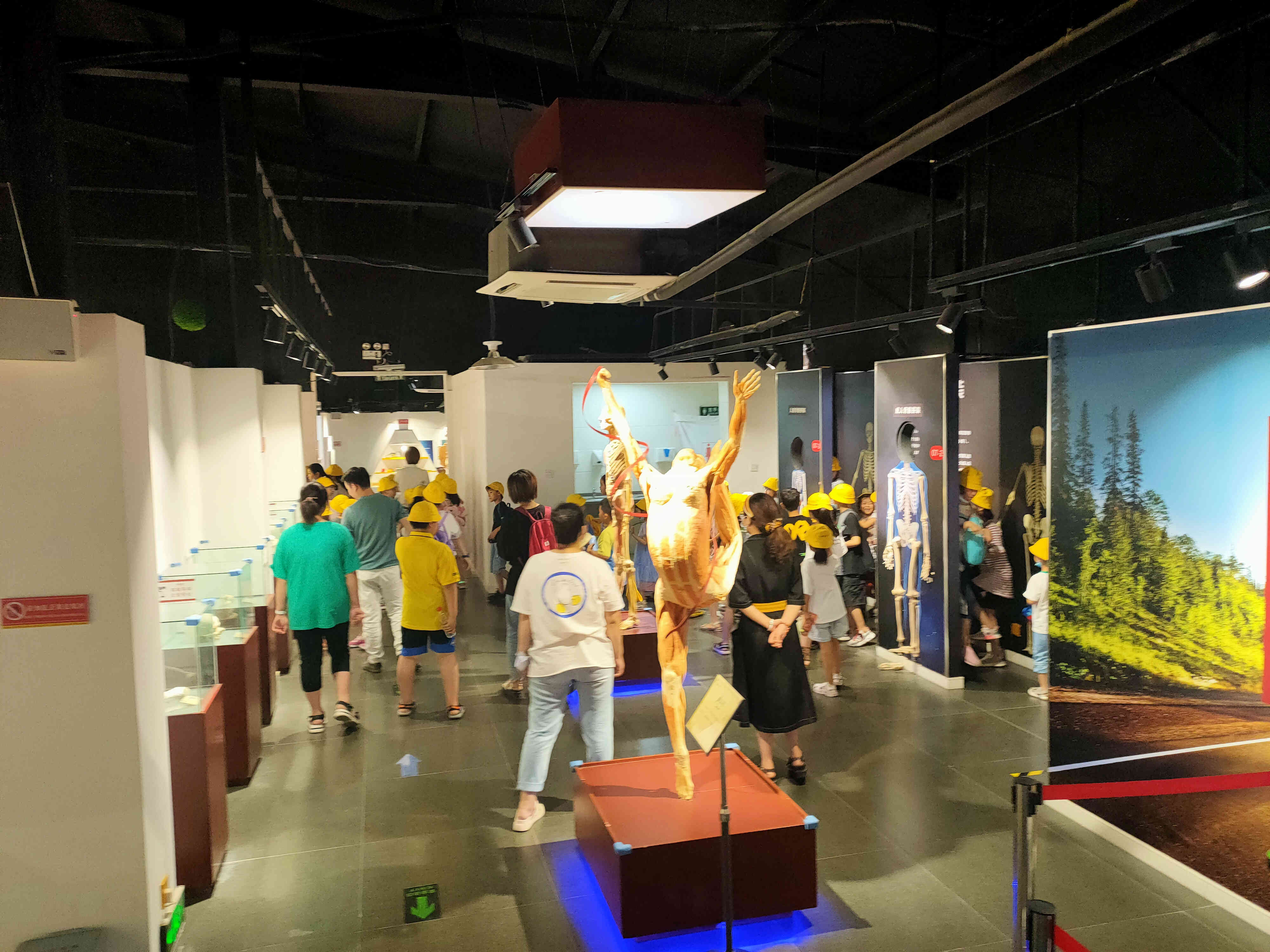 郑州周边游玩夏季景点攻略,郑州周边遛娃避暑游玩推荐景点