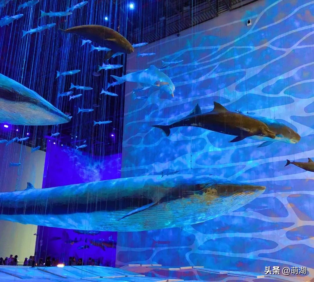 五一广州旅游攻略推荐,五一广州游玩攻略一览表