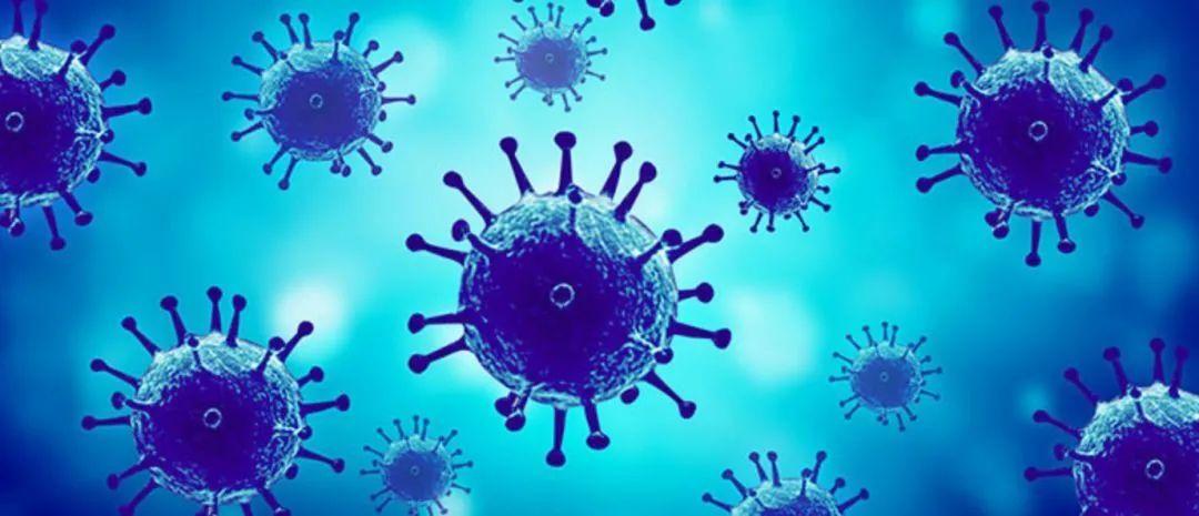 公共厕所马桶细菌对女性的危害,公共卫生间马桶有细菌吗