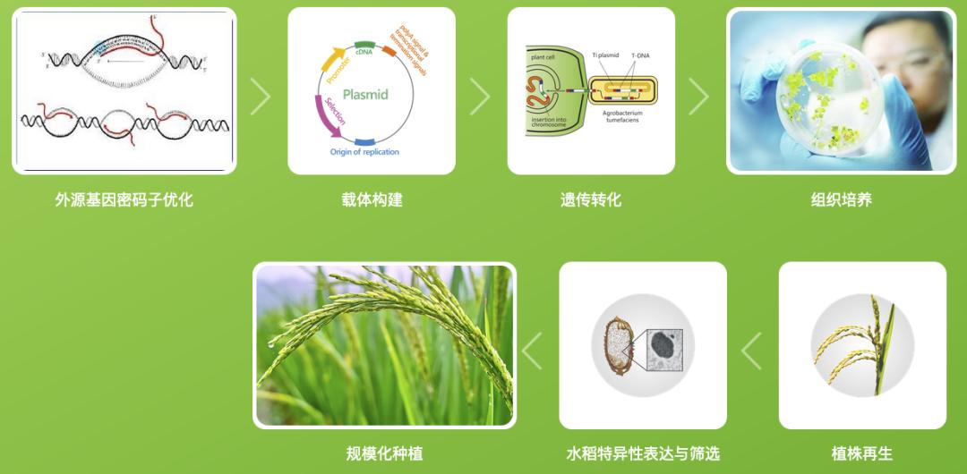 禾元生物发展前景,禾元生物2019