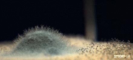 屋里潮湿起霉斑怎么去除,潮湿发霉怎么快速消除霉点