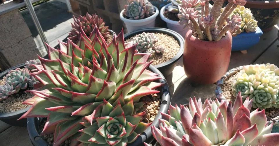 月入10w冷门创业项目,有哪些月入过万的冷门行业