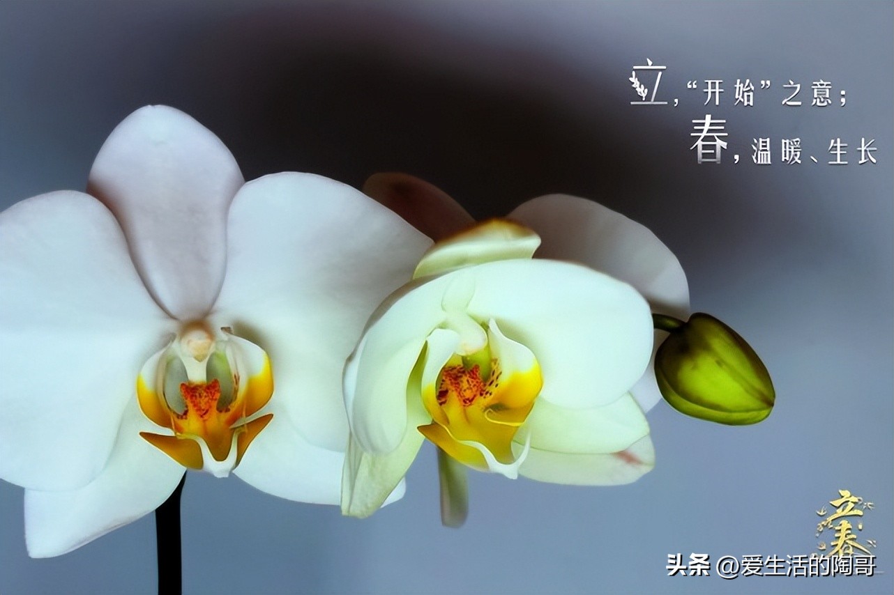 2月4日立春，老话讲：双春兼闰二月，3人要躲春，吃3样顺顺利利