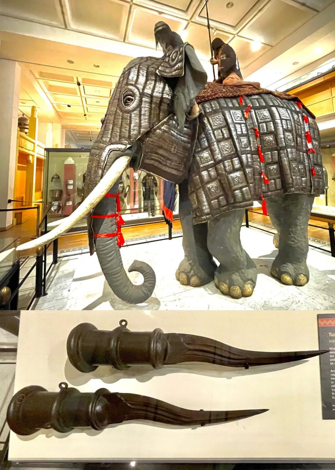 10张绝美站立姿图,20张让人涨知识的图片