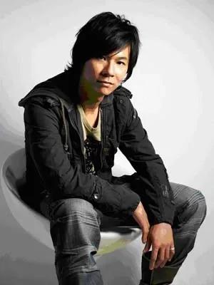 流行歌曲三十首经典,华语流行歌曲十大金曲