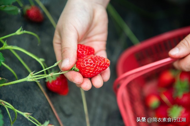 她做保姆这些年之豪门生活完整版,她做保姆这些年豪门生活之序