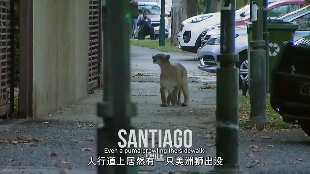 疫情下我们都努力的活着,疫情下的我们躺吃躺睡