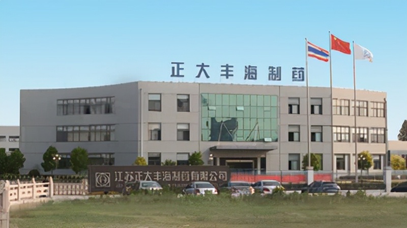 聚力打造五大千亿级产业集群,盐城正大丰海