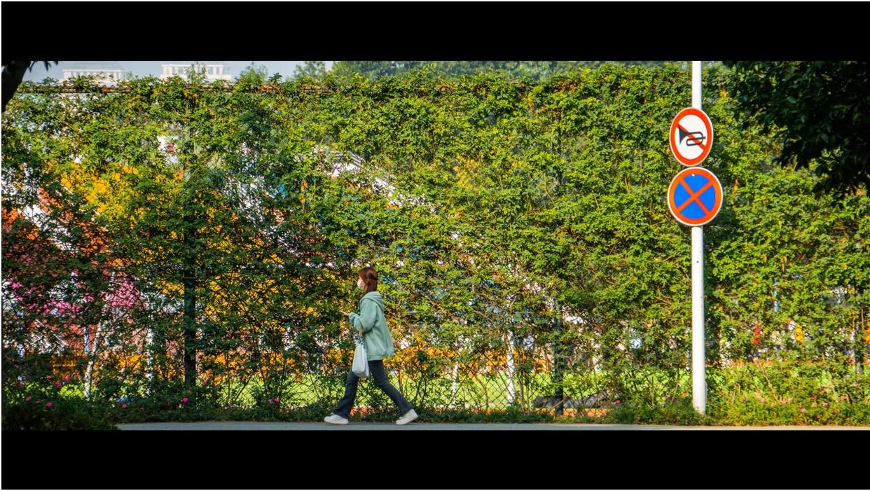 托普七夕,托育二十四节气活动