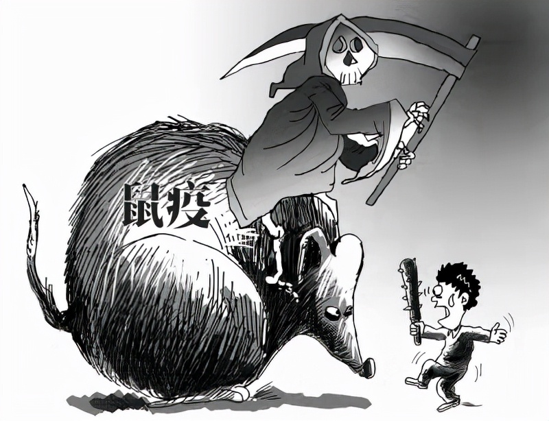 黑死病全过程解说,黑死病有多恐怖