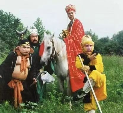 泸州老窖30年窖龄品鉴,品味舍得和泸州老窖窖龄60对比