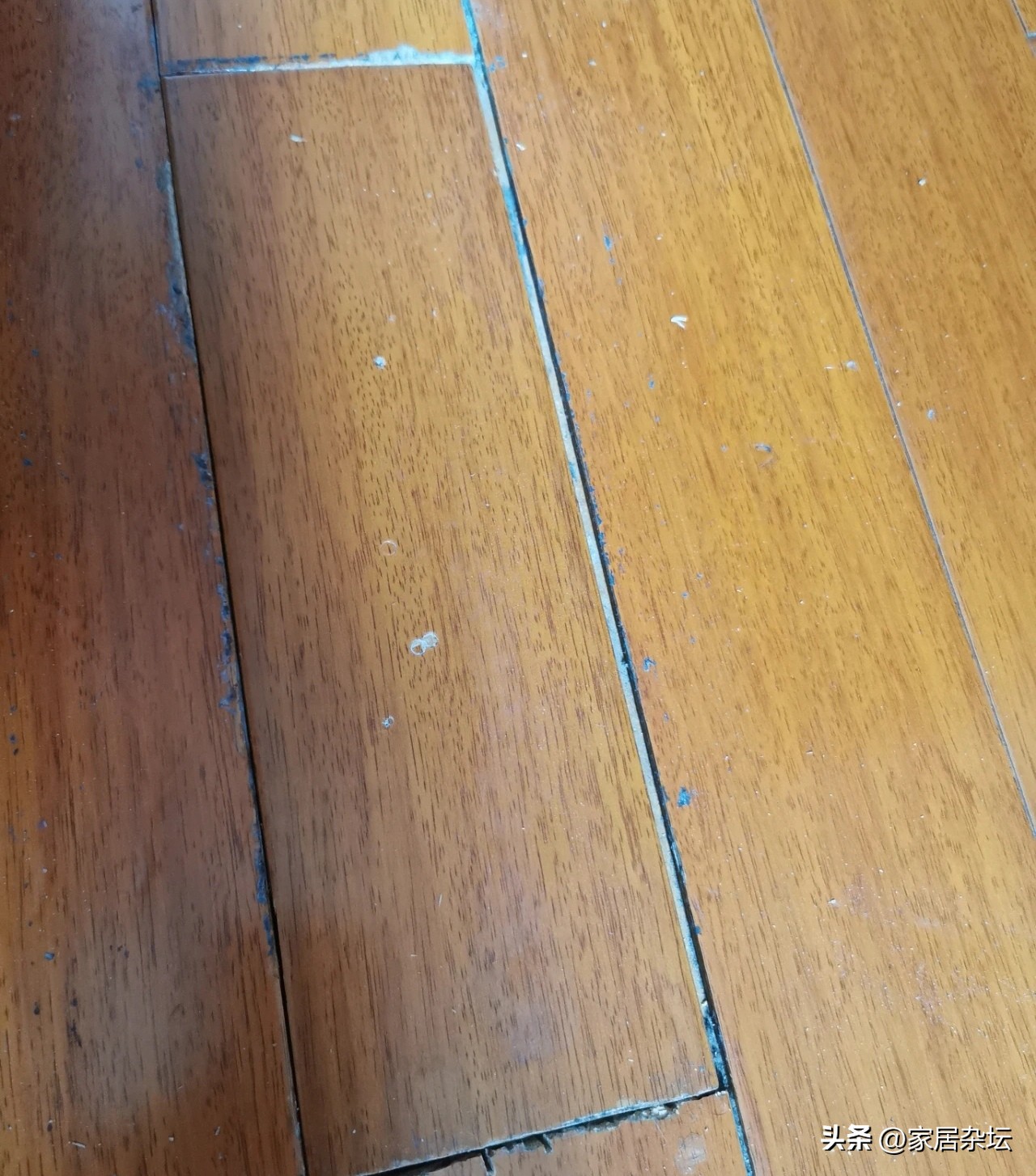 全屋木地板通铺后悔了,厨房间铺了木地板后悔了