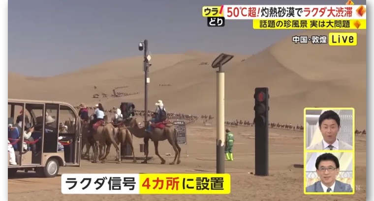 日本记者敦煌堵骆驼,日本记者直播连线冰墩墩