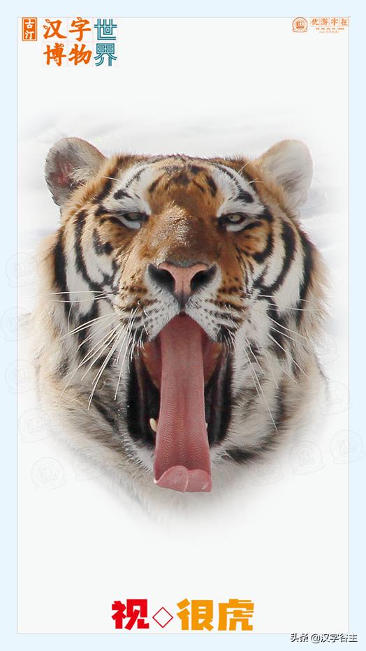 虎年带虎的成语,搜集有关虎年的成语十则