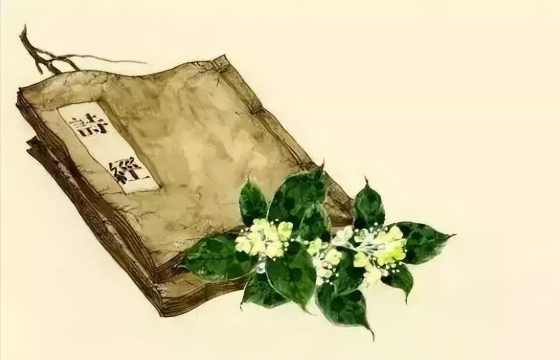 最具智慧的古代经典,读什么古代书可以提升自己修养