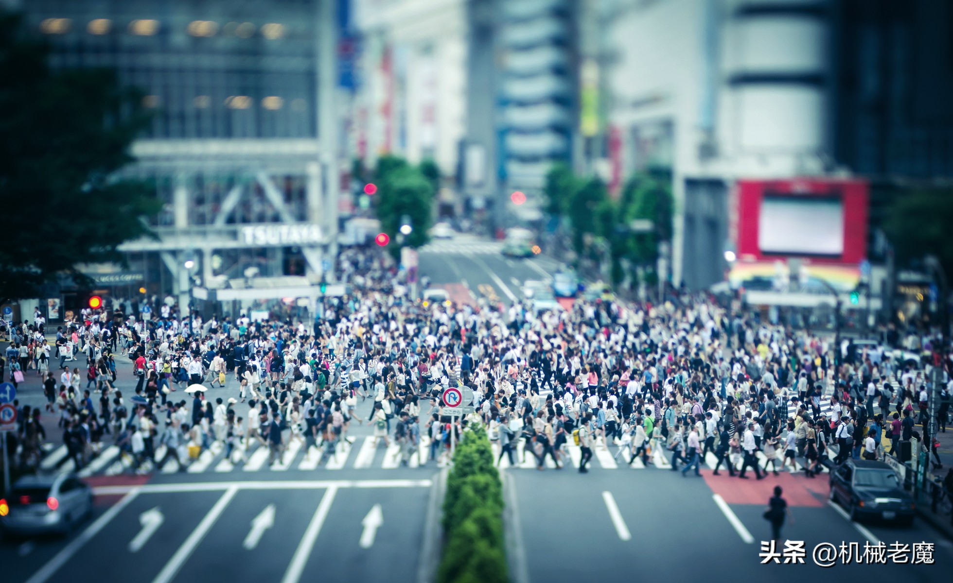 让我们保持一丝理性吧，我有几个小问题——日本篇