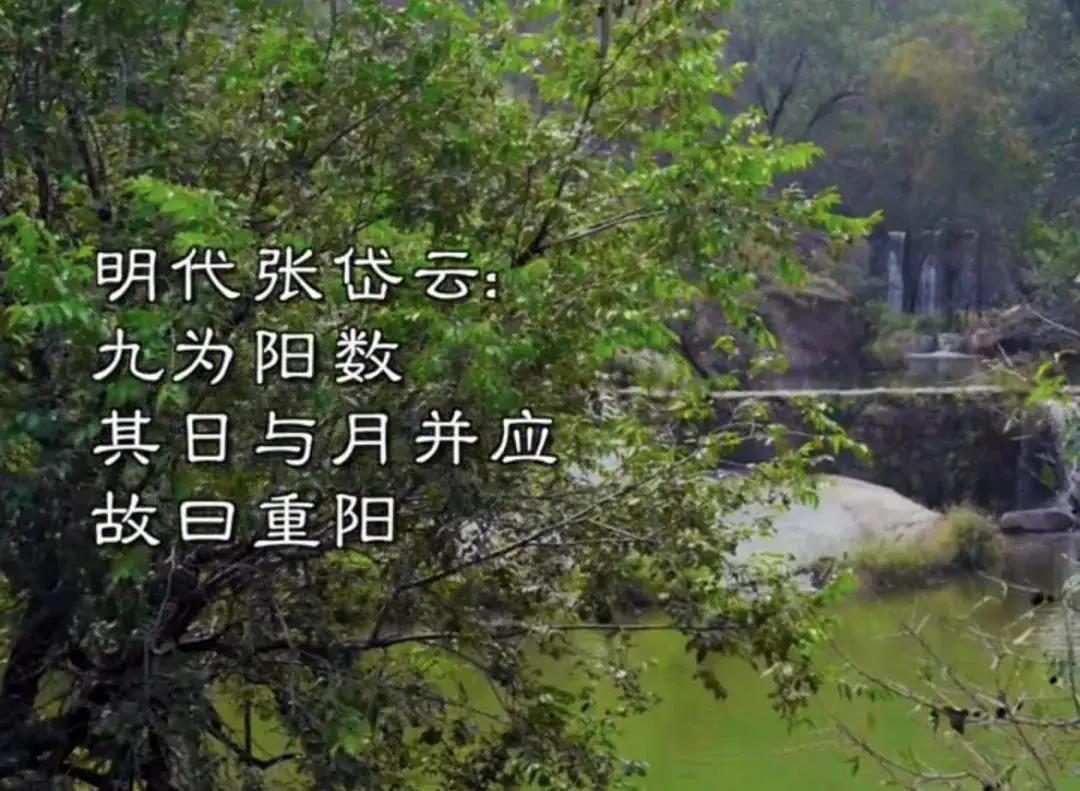 王菲前夫李亚鹏的现状,王菲前夫李亚鹏现状如何