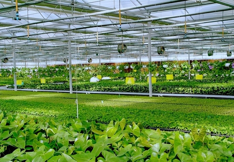 两会对农民的六条建议,村干部谈农村工作的意见和建议