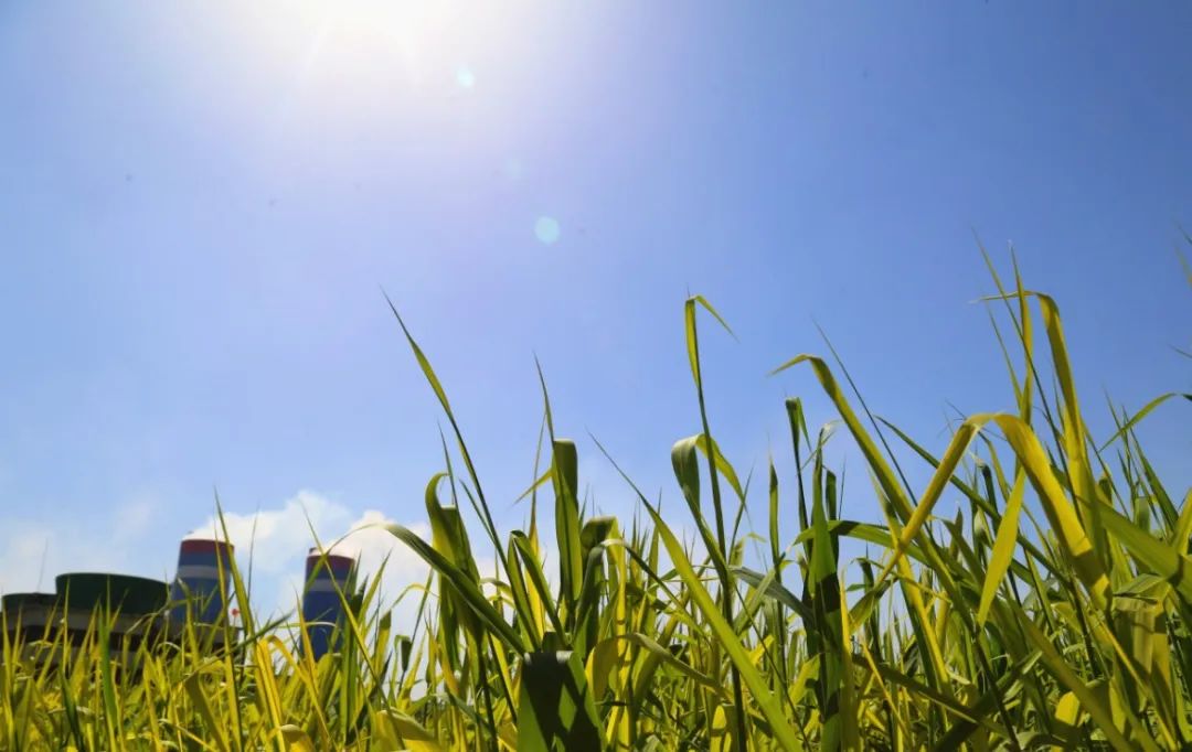 绿色工厂！瑞星交出环保硬核“答卷”