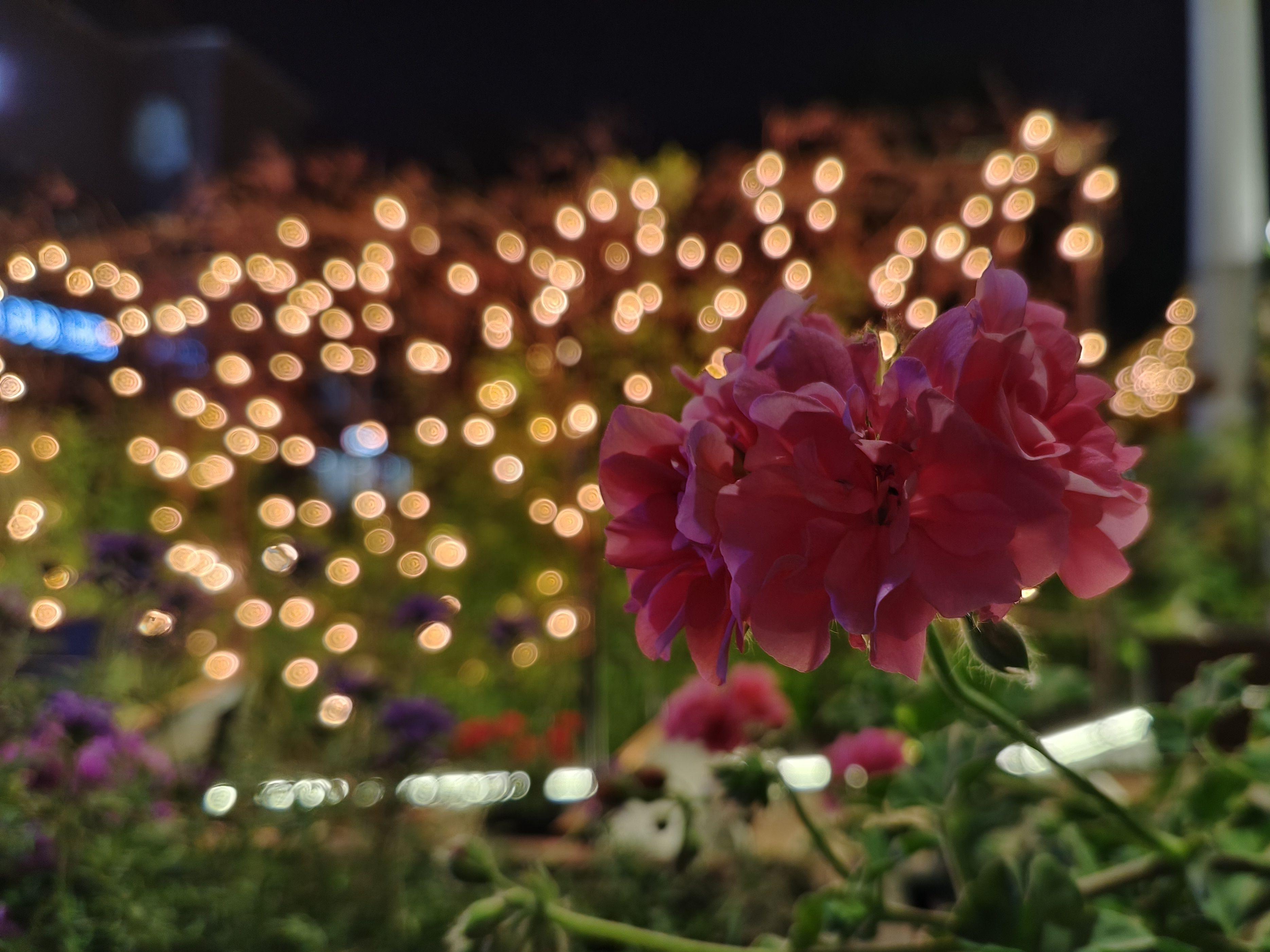 vivox80天玑9000版吃鸡测评,vivox80天玑9000芯片怎么样